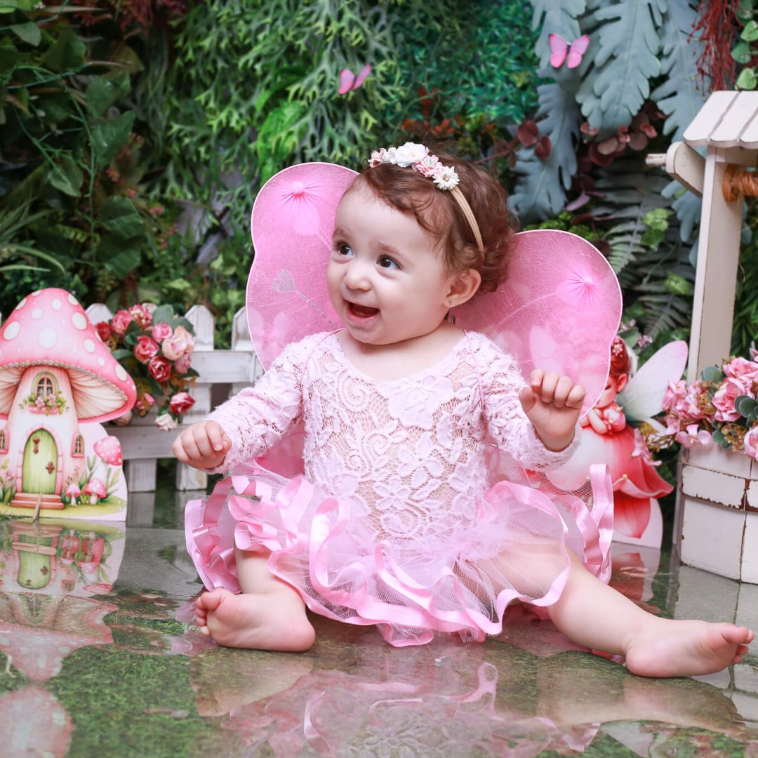 12 meses
